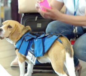 Luggage [Video 
