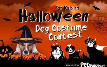 PetGuide Sponsors A Fur-Raising Halloween Costume Contest