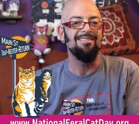 Help Celebrate National FeralCatDay On October 16 With Jackson Galaxy