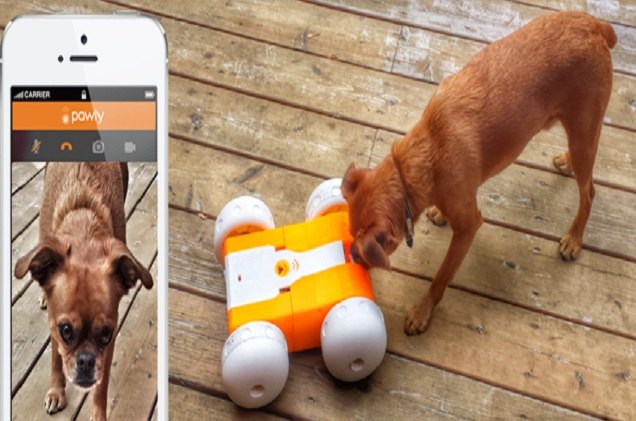 pawly lets you play with your pet even when you re not home video