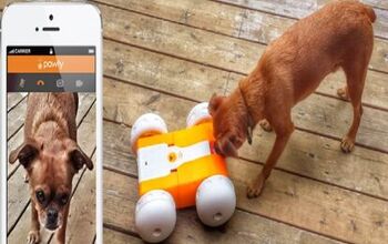 Pawly Lets You Play With Your Pet Even When You’re Not Home [Video]