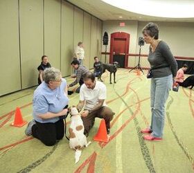 association of professional dog trainers a valuable resource for train