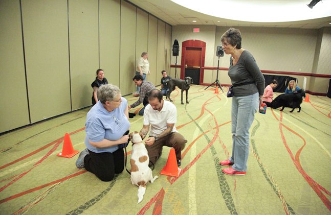 association of professional dog trainers a valuable resource for trainers and pet