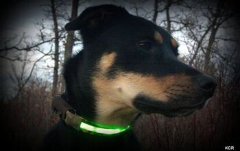 Product Review: Head-Lites LED Collars