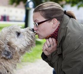 Don’t Worry Human, Science Says Your Dog Loves You… Lots