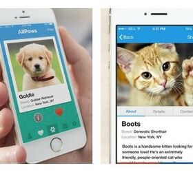 AllPaws App Wants To Help You Find Your Perfect Pet Match