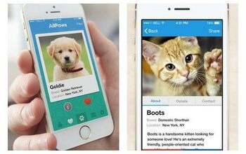 AllPaws App Wants To Help You Find Your Perfect Pet Match