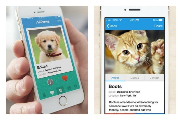 allpaws app wants to help you find your perfect pet match