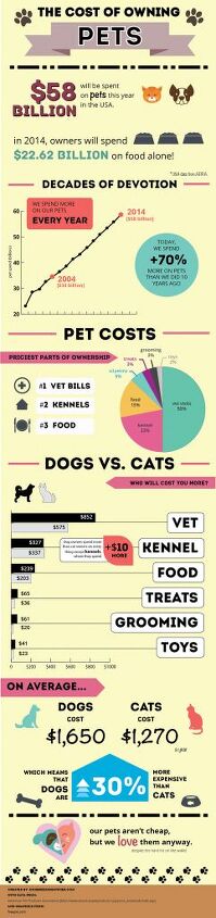 gen y dogma how to handle pet expenses when your partner gets laid of