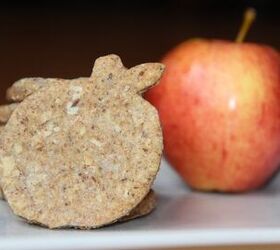 Apple Crisp Dog Treat Recipe