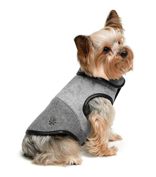 don your dog in dapper apparel this holiday season
