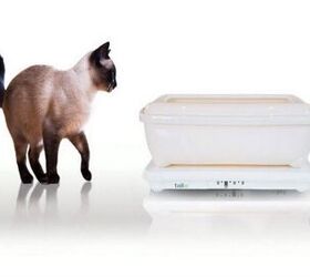 Tailio Gives You The (Poop) Scoop On Your Cat’s Health