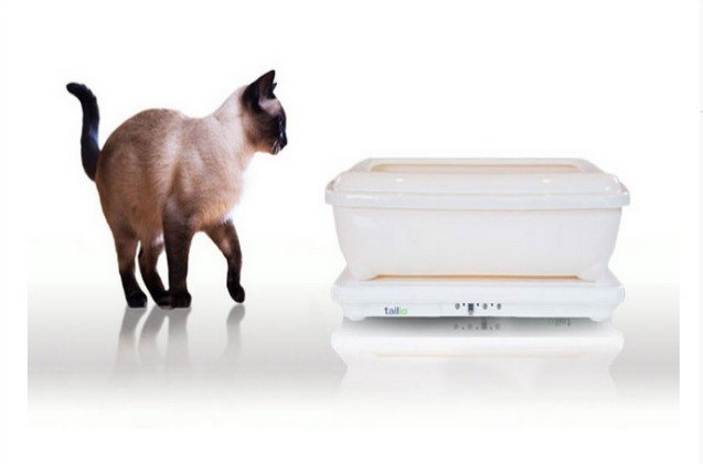 tailio gives you the poop scoop on your cats health