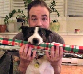 Gen Y Dogma: Top 5 Christmas Etsy Picks For The Urban Pet