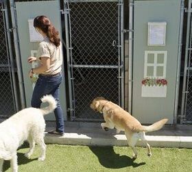 Choosing The Right Boarding Kennel For You And Your Dog