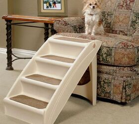 ramps and pet steps give stiff senior dogs a leg up