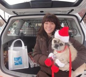 ASPCA And Subaru Want To Share The Love This Holiday Season