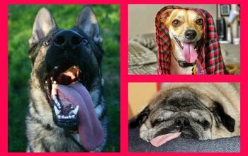 The Winners Of Our Tongues Out Contest