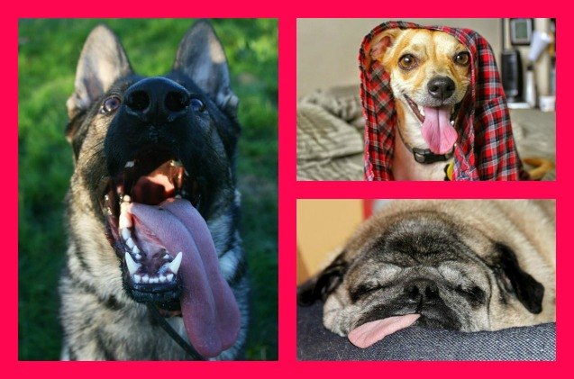 the winners of our tongues out contest