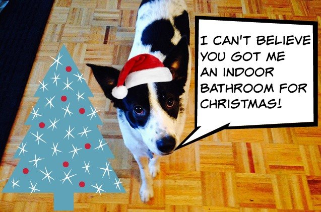 gen y dogma i m afraid my dog will ruin christmas