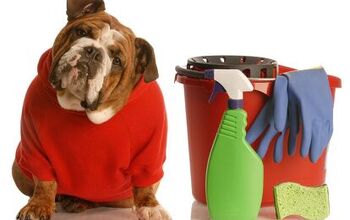 4 DIY Homemade Cleaners That Are Safe For Dogs