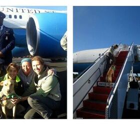 Biden Rescue Pooch Gets V(I)P Treatment On Air Force Two