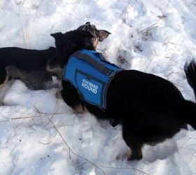 product review outward hound thermovest