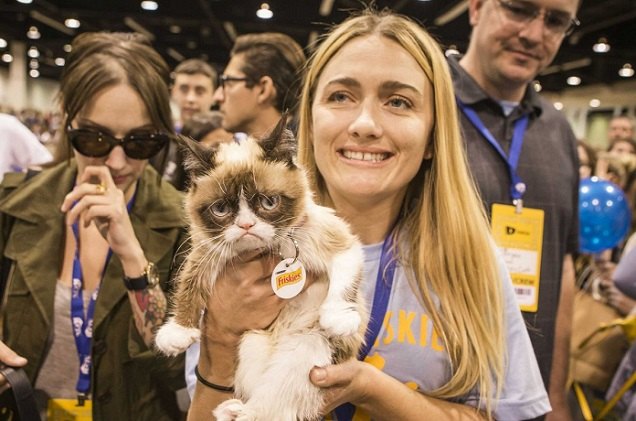 grumpy cats owner is not so grumpy anymore thanks to 100 milli