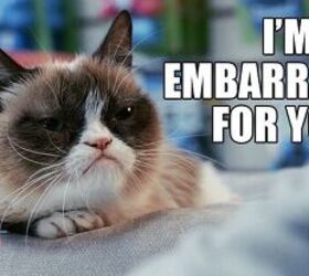 I need help finding all the popular cat memes! Please tell me if i'm  missing any golden ones. Grumpy cat has been left out on purpose. Thanks! :  r/Catmemes