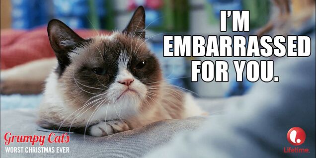 grumpy cats owner is not so grumpy anymore thanks to 100 milli