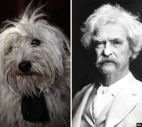 Poetic Dogs Photo Series Casts Pups As Literary Icons