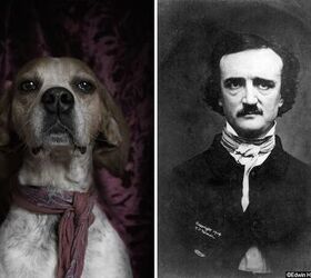 poetic dogs photo series casts pups as literary icons