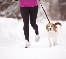 How To Start Running With Your Dog