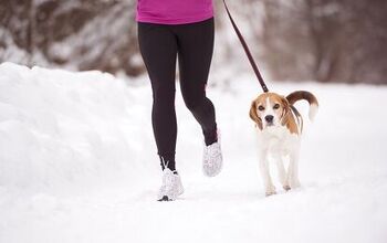 How To Start Running With Your Dog
