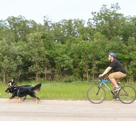 get fit with fido exhilarating workouts for you and your dog
