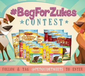 Contest Alert: #BegForZukes On Twitter With @PetGuideTweets