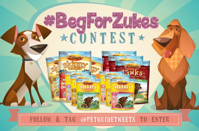 contest alert begforzukes on twitter with petguidetweets