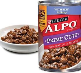 alpo dog wet food