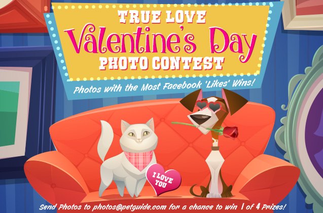 true love valentine s day photo contest