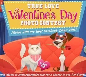 True Love Valentine’s Day Photo Contest