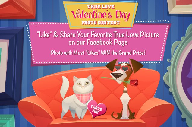 vote now for your favorite true love contest picture