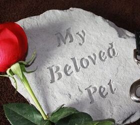 losing a pet dealing with the death of your dog