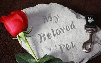 Losing A Pet: Dealing With The Death Of Your Dog