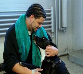 Dogs On The Inside: Inspiring Documentary About Rescue Dogs and Inmate