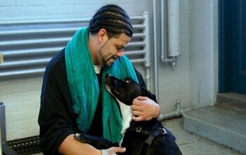 Dogs On The Inside: Inspiring Documentary About Rescue Dogs and Inmate