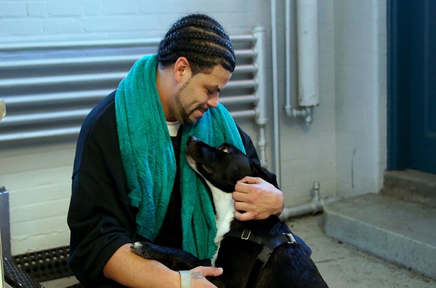 dogs on the inside inspiring documentary about rescue dogs and inmate