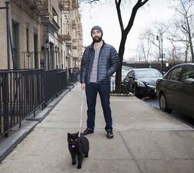 photographic proof that men who own cats are hot