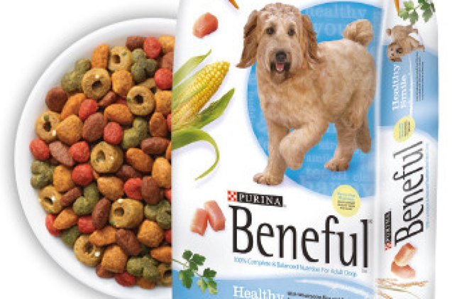 lawsuit filed against purina alleges potentially toxic pet food