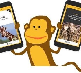 tailsup app helps kids get to the bottom of animal awareness