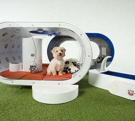 yes this 30k samsung dream doghouse is necessary video